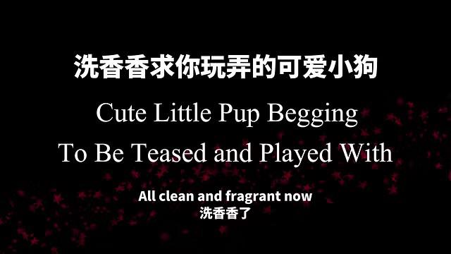 【女性向音声】可爱的小狗男友