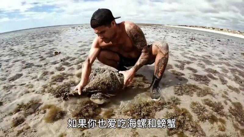 如果你也爱吃海螺和螃蟹，今天的巨无霸螃蟹千万不要错过