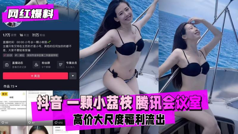 【网红爆料】抖音 一颗小荔枝 腾讯会议室大尺度福利