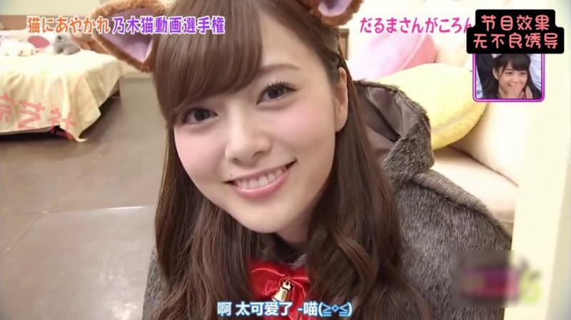 家里有一只这样的小猫咪 你几点回家