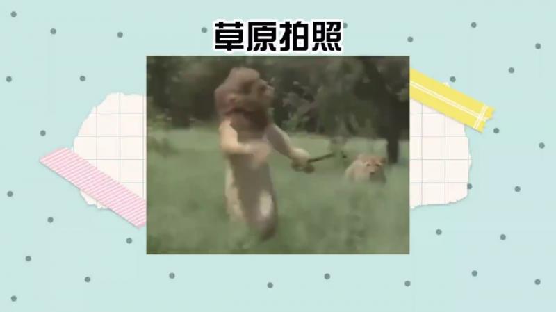 小日子的综艺真损，完全不把艺人当人看，笑死我了，哈哈哈。#综艺名场面
