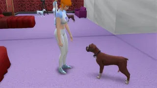 犬类欲望：格温