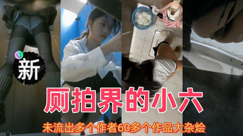 【精品厕拍】未流出多个作者60多个作品大杂烩131V