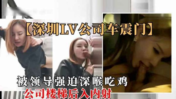 【铂金网曝门】深圳LV女车震门事件.极品员工被领导车震强按头深喉口爆吞精