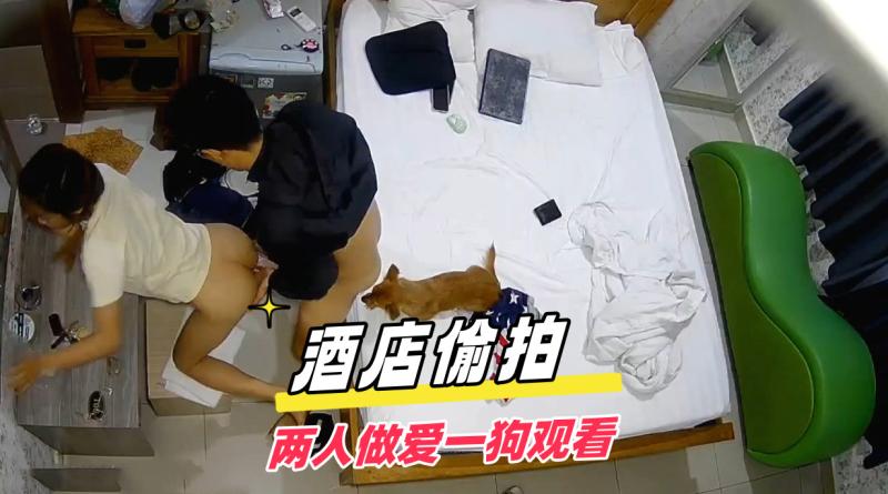 带着宠物狗开房的高学历情侣大屌男后入干得女友抓紧床一脸享受
