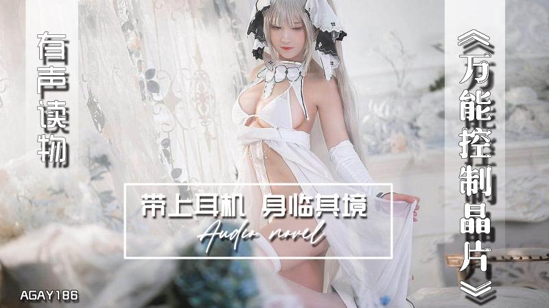 AGAY186-有声小说-万能控制晶片