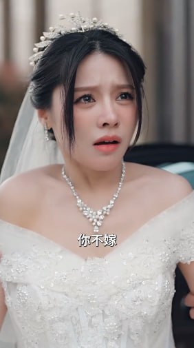 逆袭从村里开始