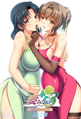 妻中寝3