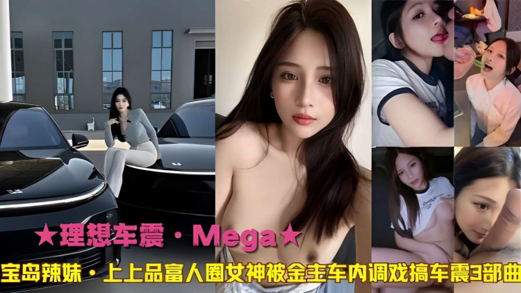 理想车震·Mega宝岛辣妹·上上品富人圈女神被金专车内调戏搞车震3部曲