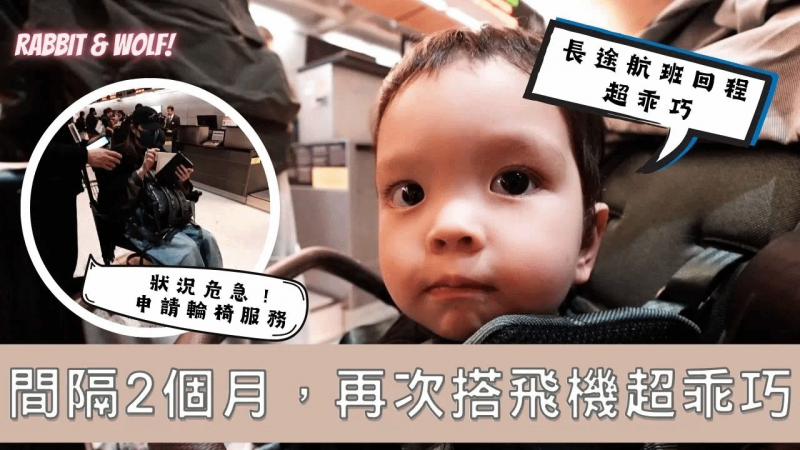 状况危急！首次申请星宇航空轮椅服务｜长途航班回程宝宝超乖巧｜兔女狼