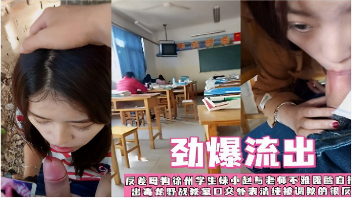 贵宾反差母狗徐州学生妹小赵与老师不雅视频中断毒龙野战教室口交外观清纯被调教的很好