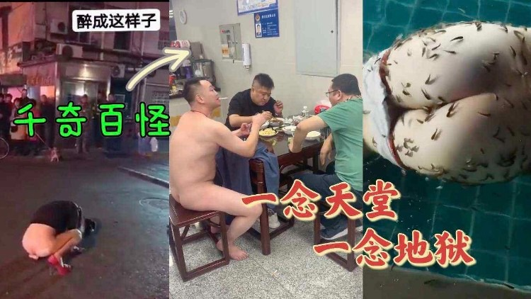 【重磅吃瓜】千奇百怪的大人们怎么是这个样子