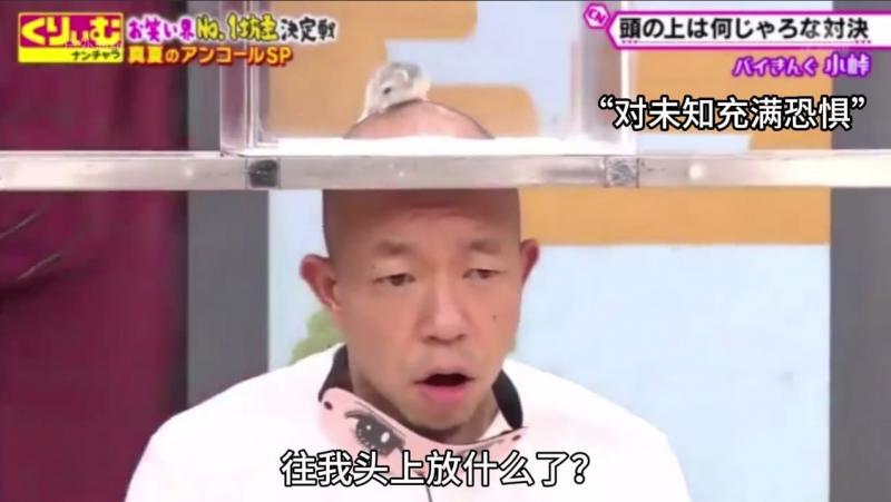 日本奇葩综艺头上放仓鼠，猜物品大赛