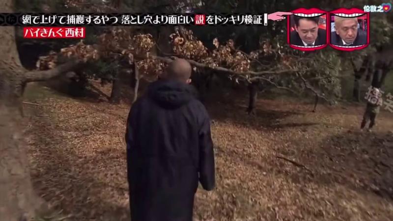 小日子的整蛊综艺能有多离谱 在荒废的小树林里到处设置陷阱