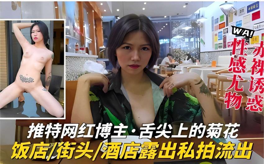 推特网红博主·舌尖上的菊花饭店/街头/酒店露出私拍流出