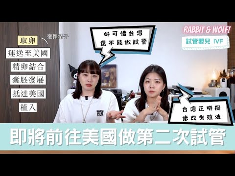 【小兔狼来了 EP.24】即将前往美国做第二次试管｜好可惜台湾还不能植入｜生殖法研拟修改中！ ｜兔女狼