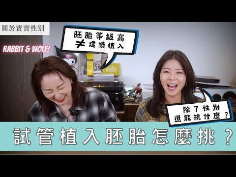 试管植入胚胎怎么挑？ ｜胚胎等级高不等于建议植入｜除了性别还能挑什么｜兔女狼